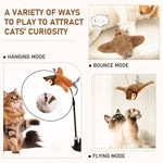 Rechargeable Bird Interactive Toy for Cats