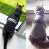 "Security" Jackets /Hoodies For Cats